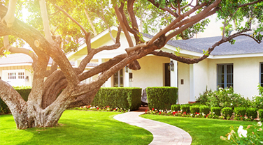 Featured Insurance-1